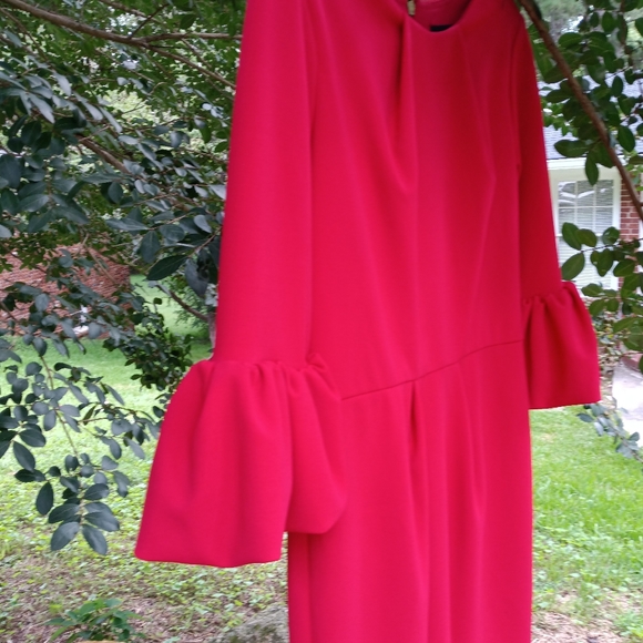 Besty Adam 8 - Picture 2 of 4